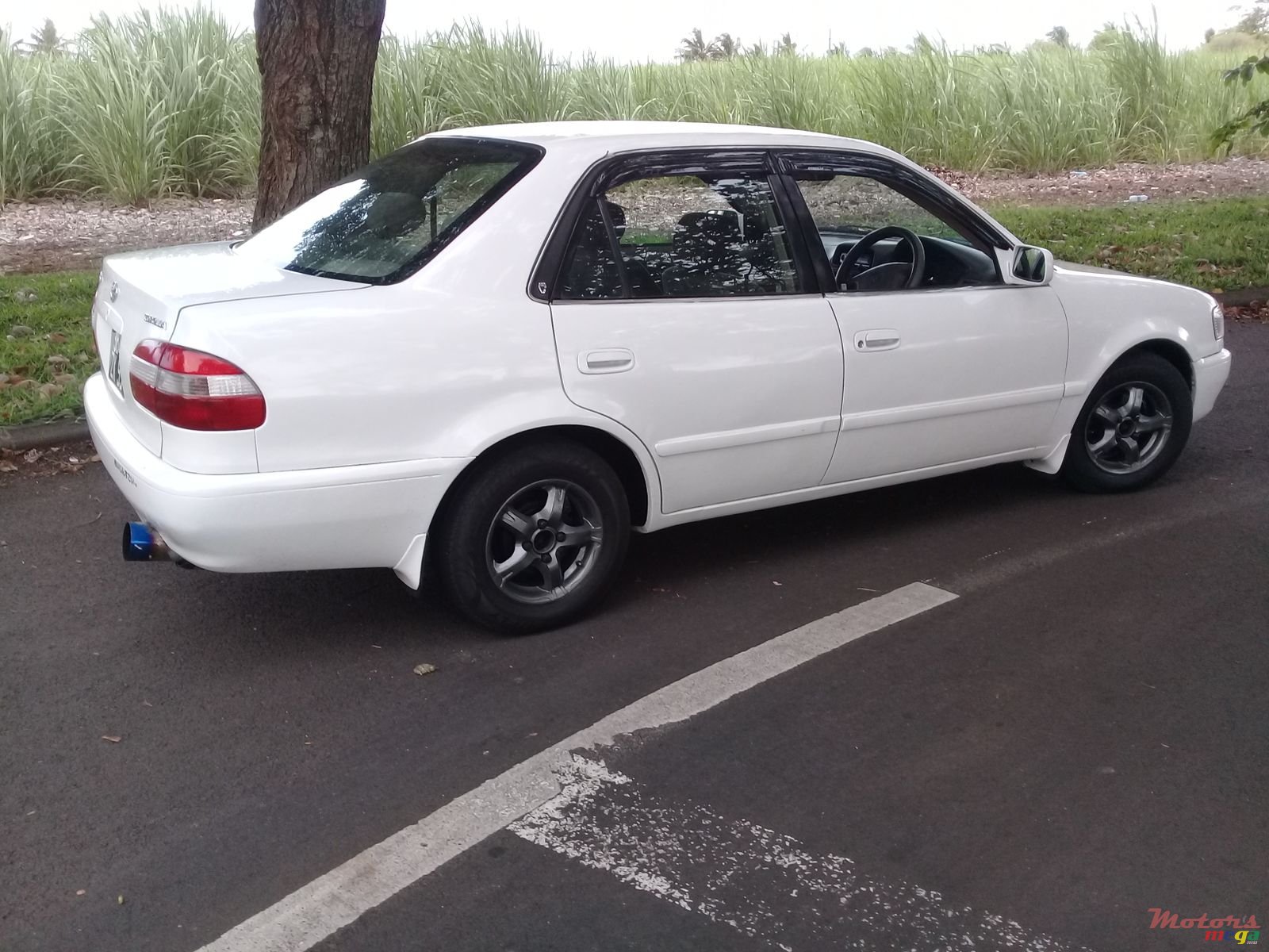 1999' Toyota Corolla photo #2