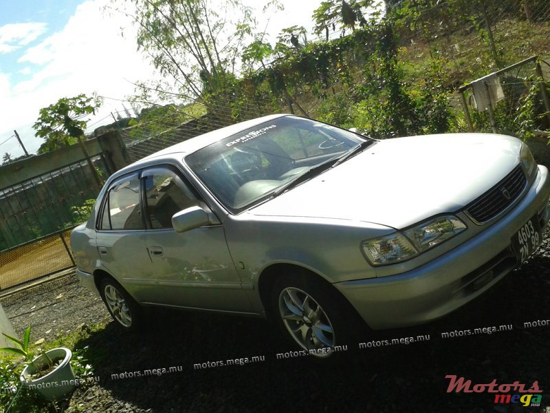 1999' Toyota Corolla photo #1