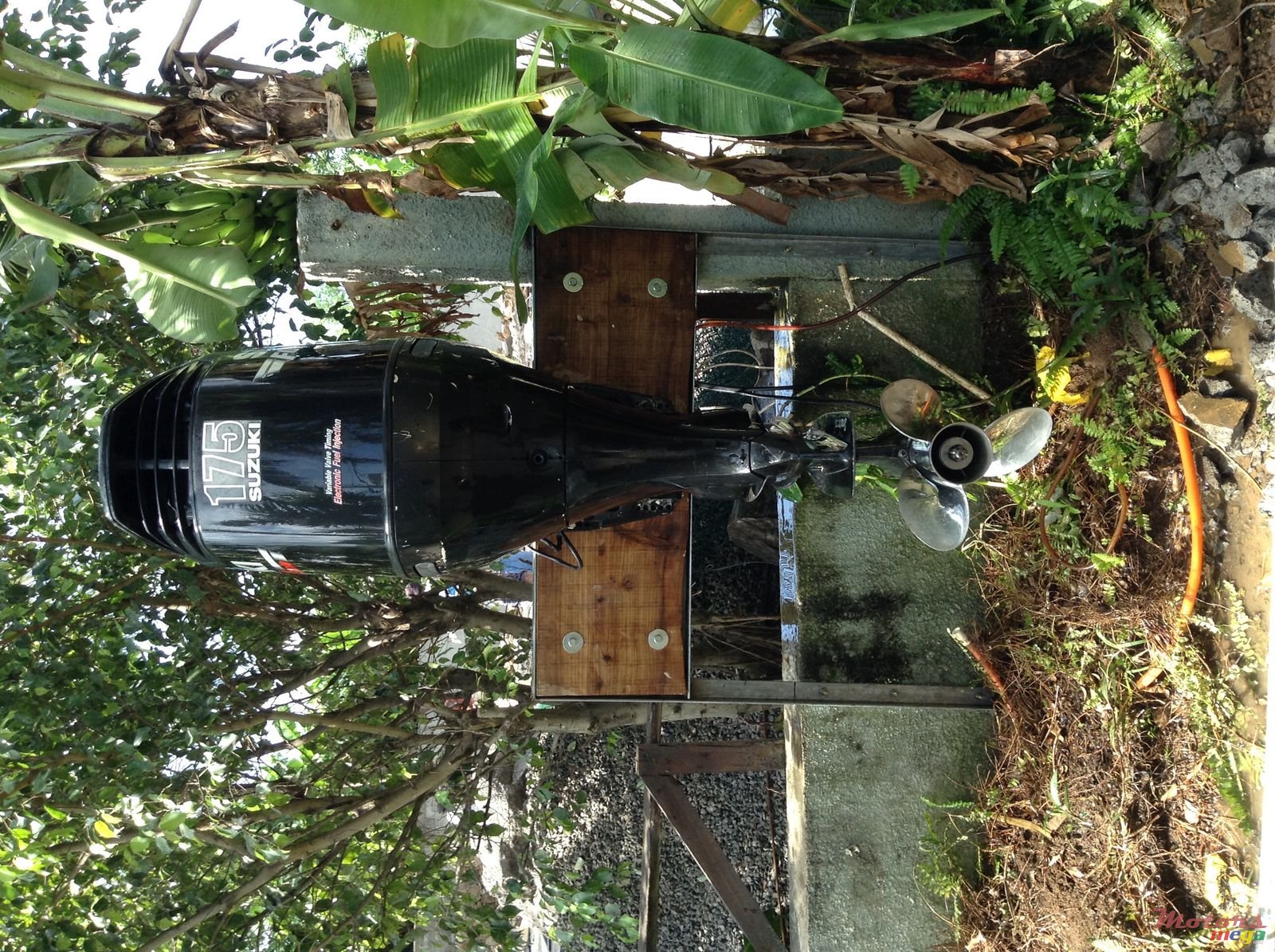 2012' Suzuki photo #2