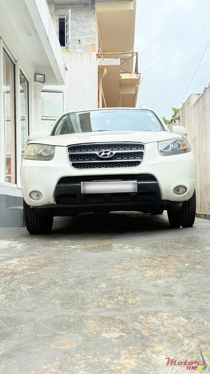 2009' Hyundai Santa Fe photo #2