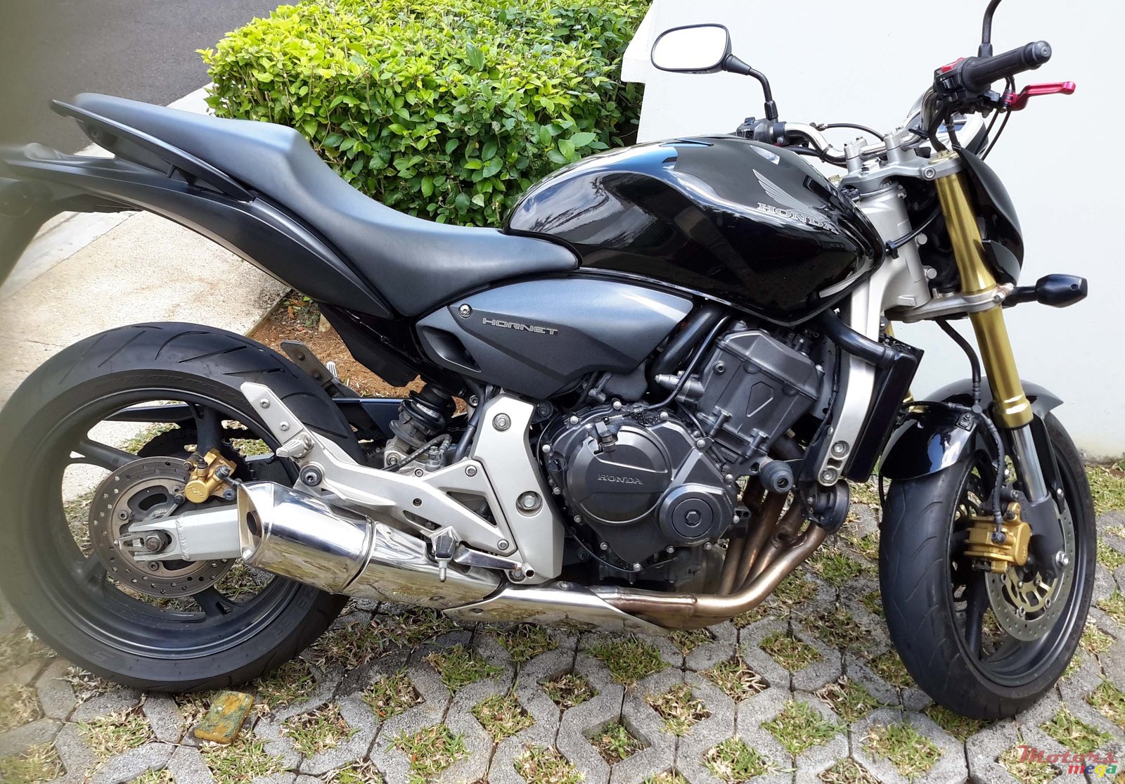 2008' Honda photo #1