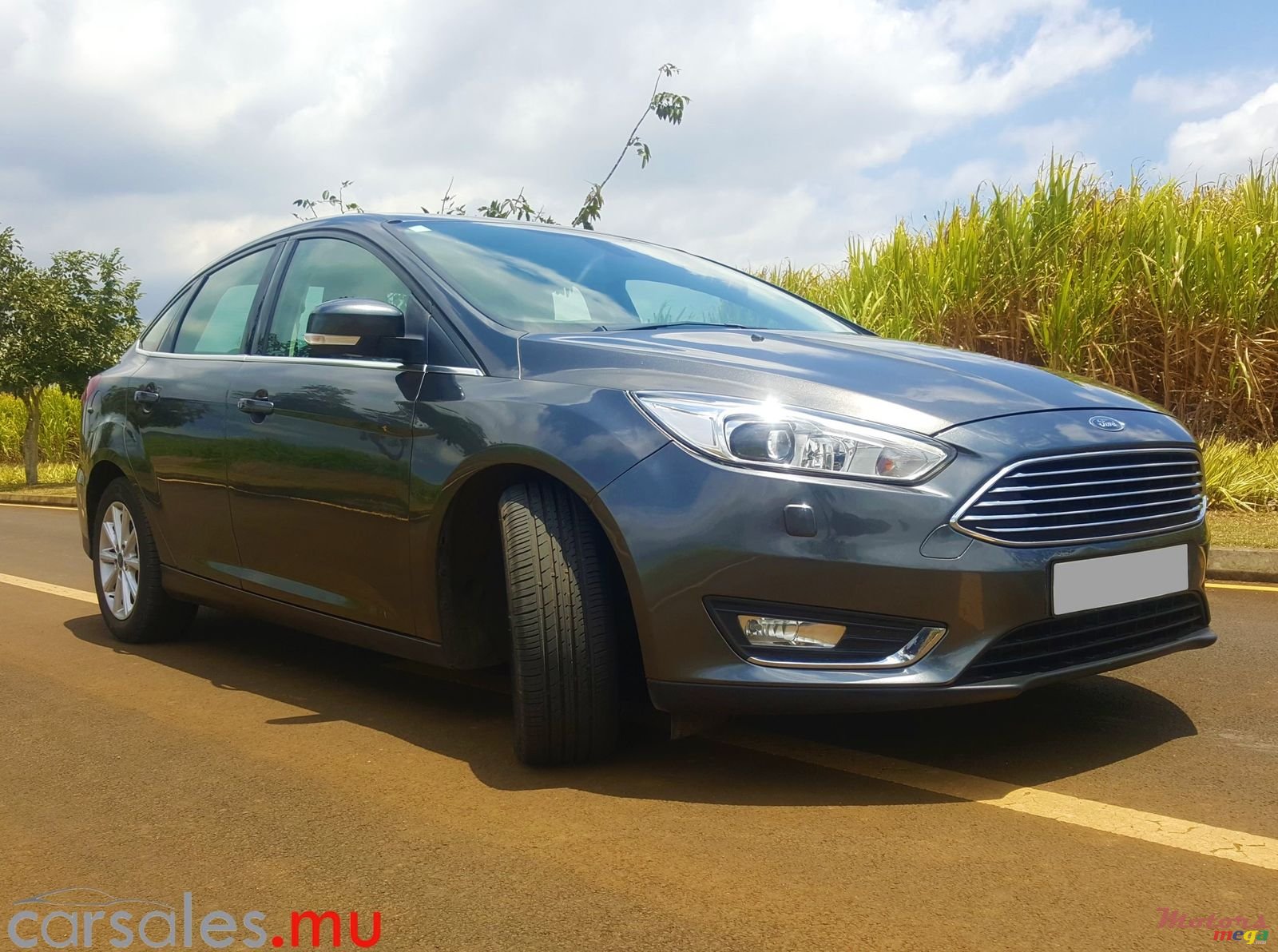 2015' Ford Focus 1.6 Sedan Titanium photo #2