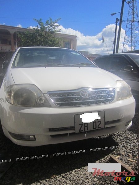2002' Toyota Corolla NZE photo #1
