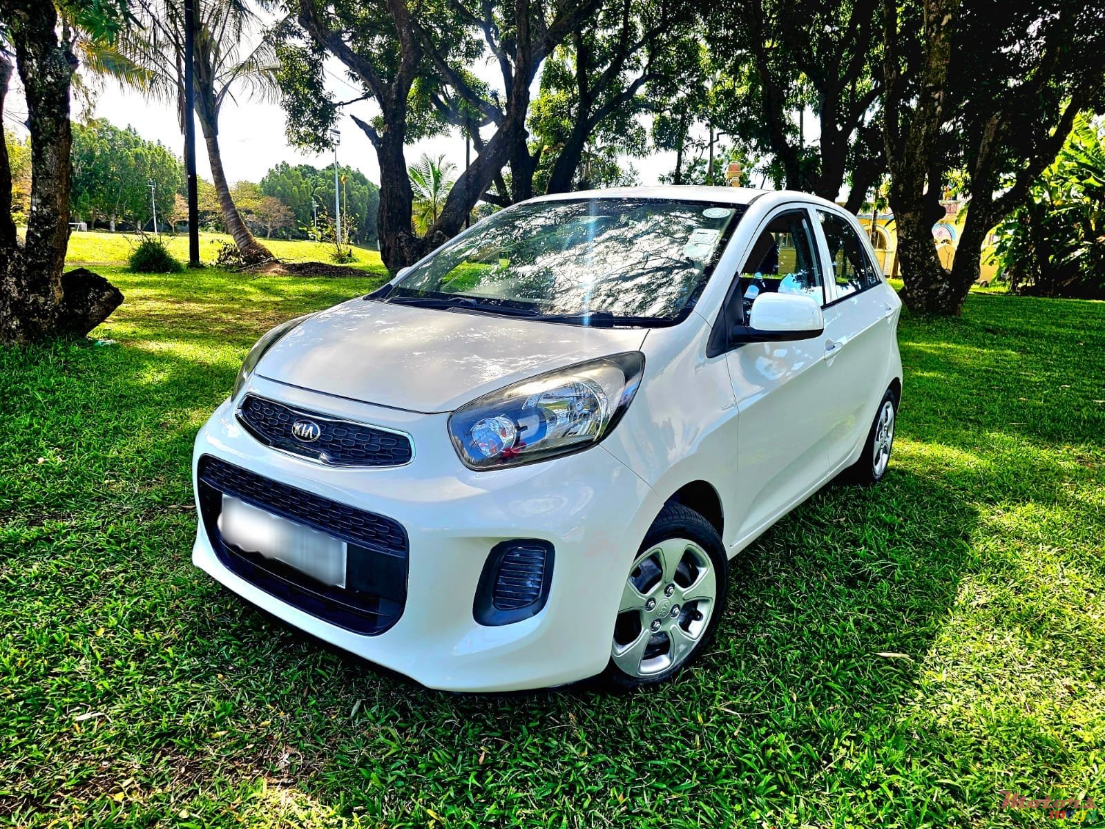 2016' Kia Picanto photo #2