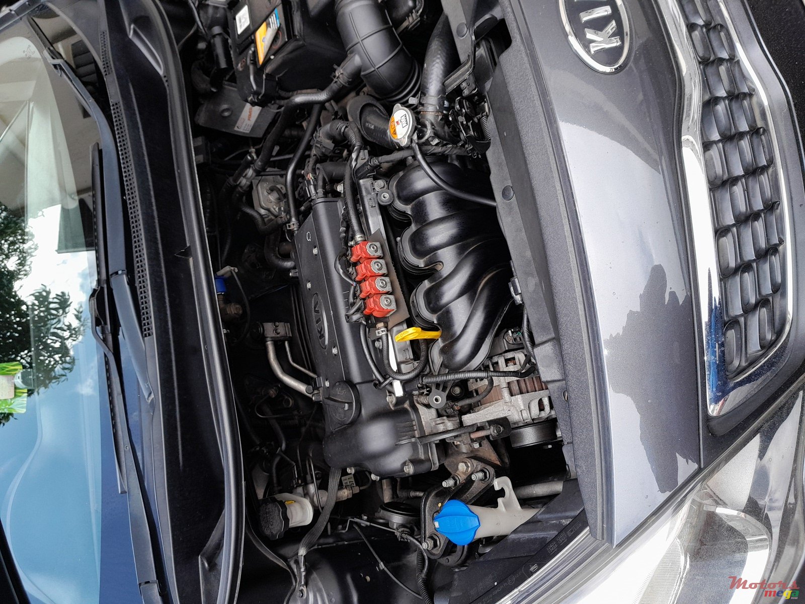 2012' Kia Rio photo #4