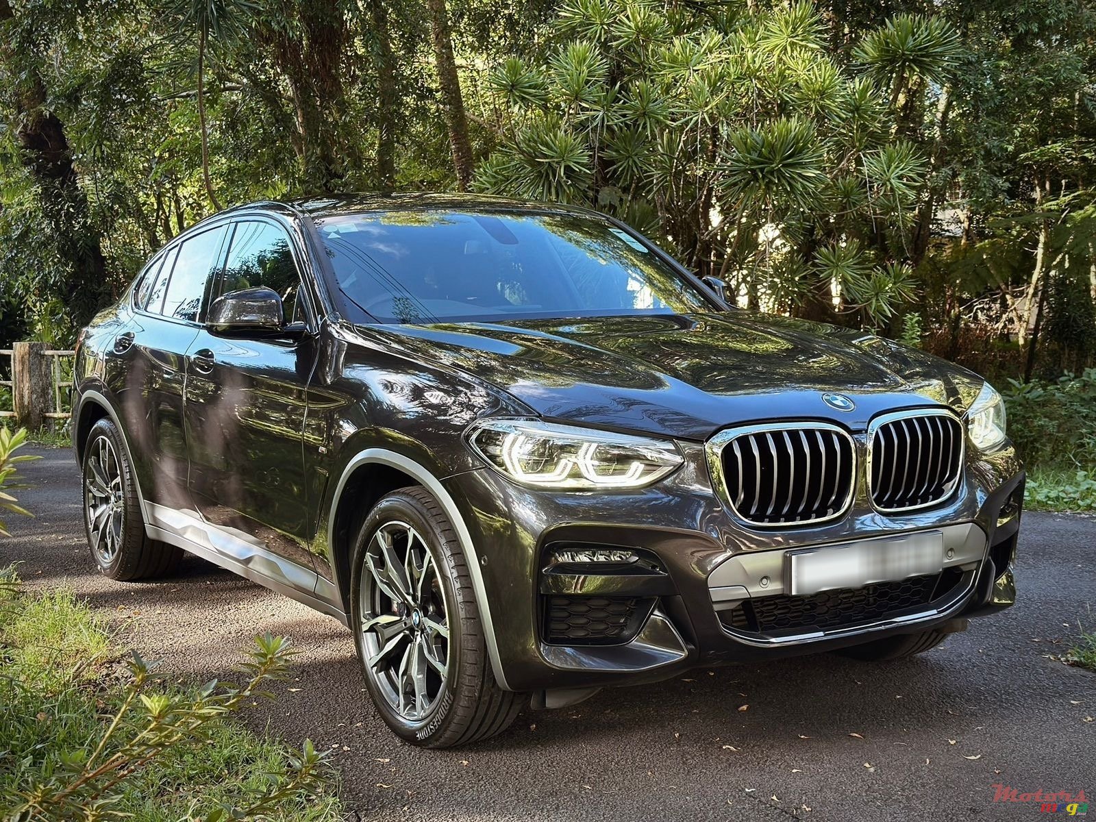 2020' BMW X4 M Sport photo #1