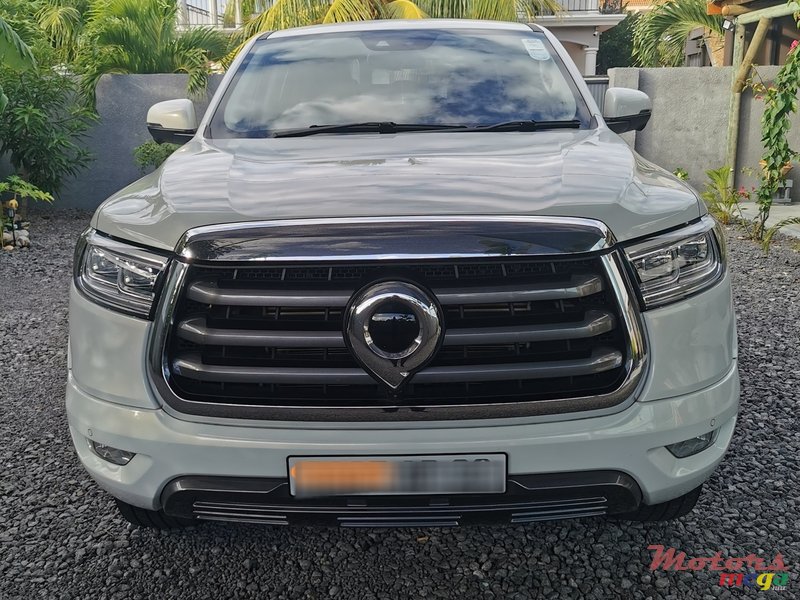 2022' GWM Double Cab Lux P-Serie photo #6