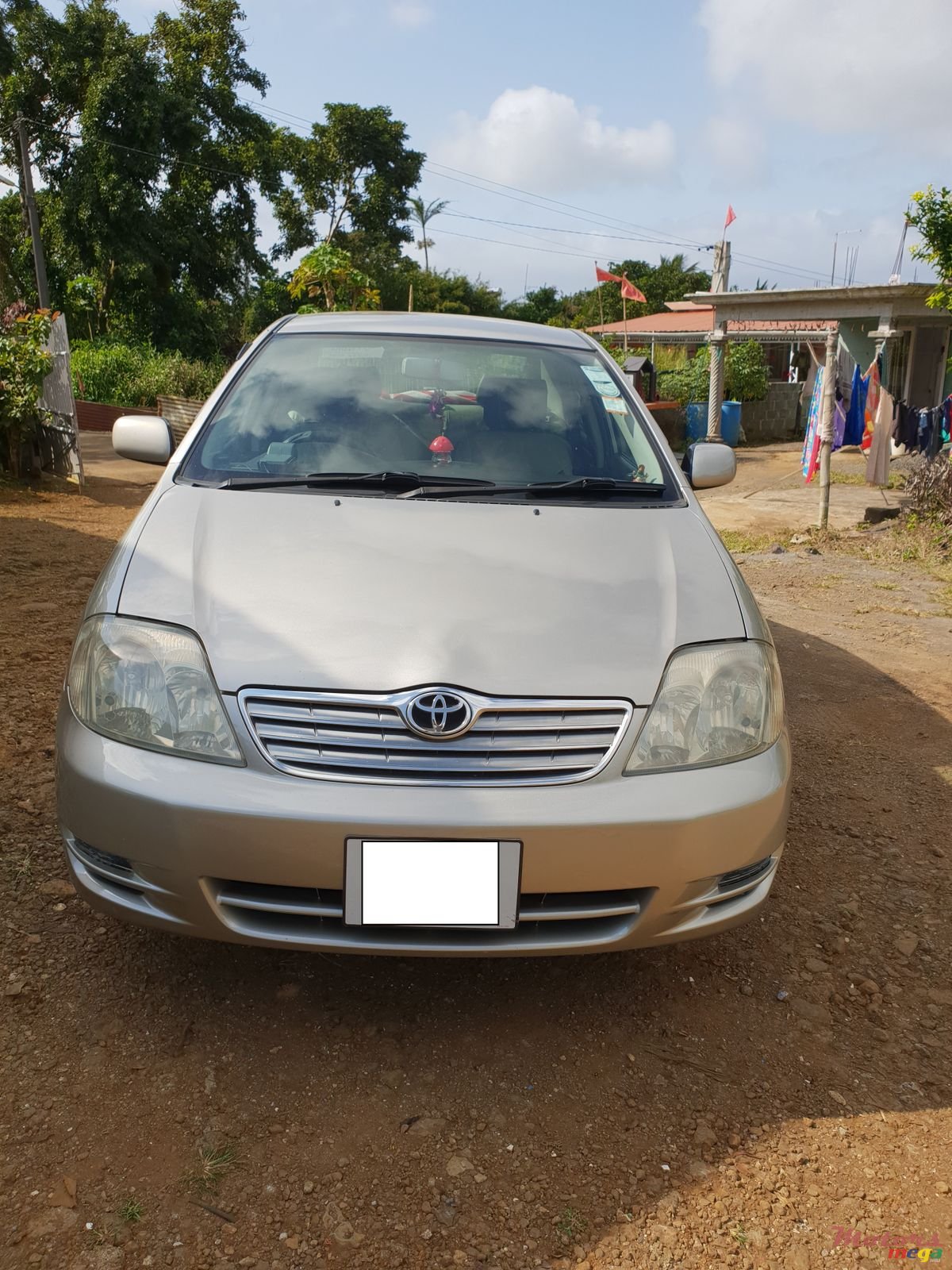 2003' Toyota Corolla NZE photo #1