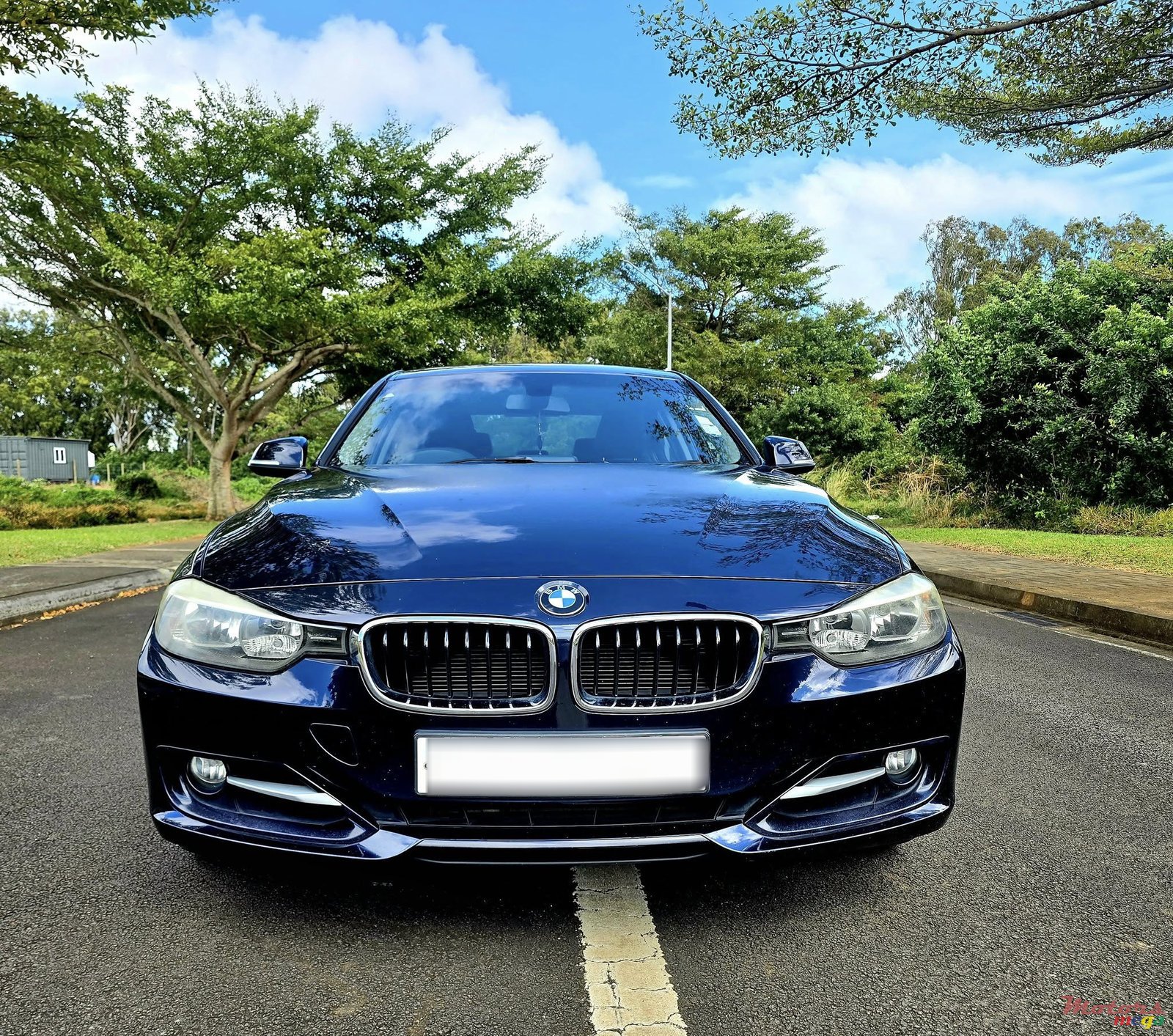 2013' BMW 316 photo #1