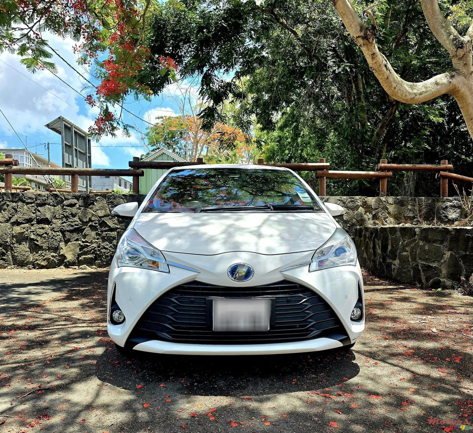 2019' Toyota Vitz photo #1