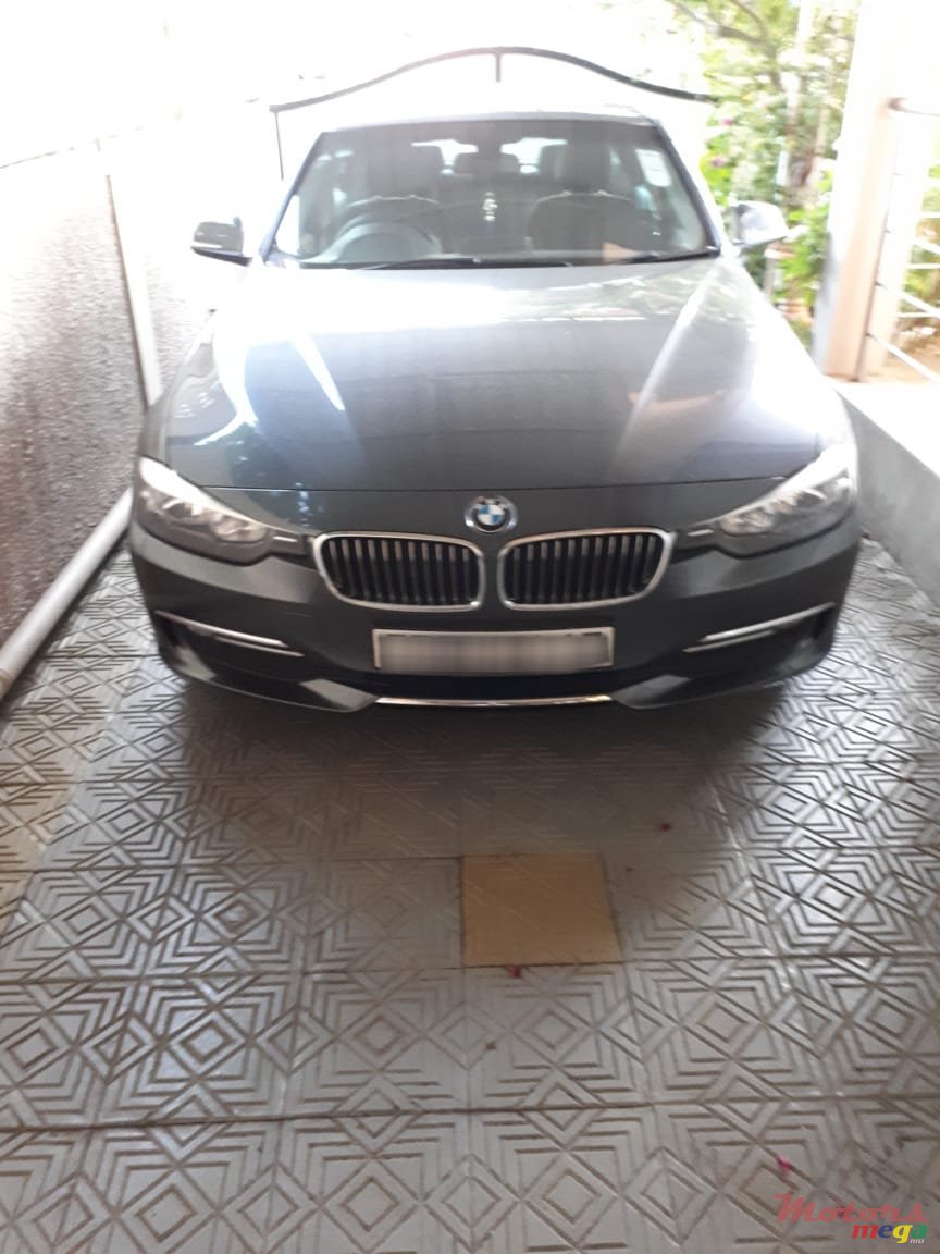 2013' BMW 316 photo #1