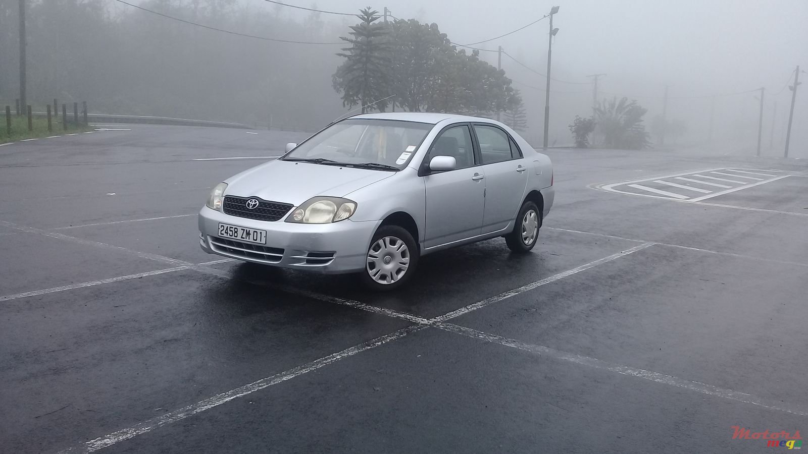 2001' Toyota Corolla NZE photo #1