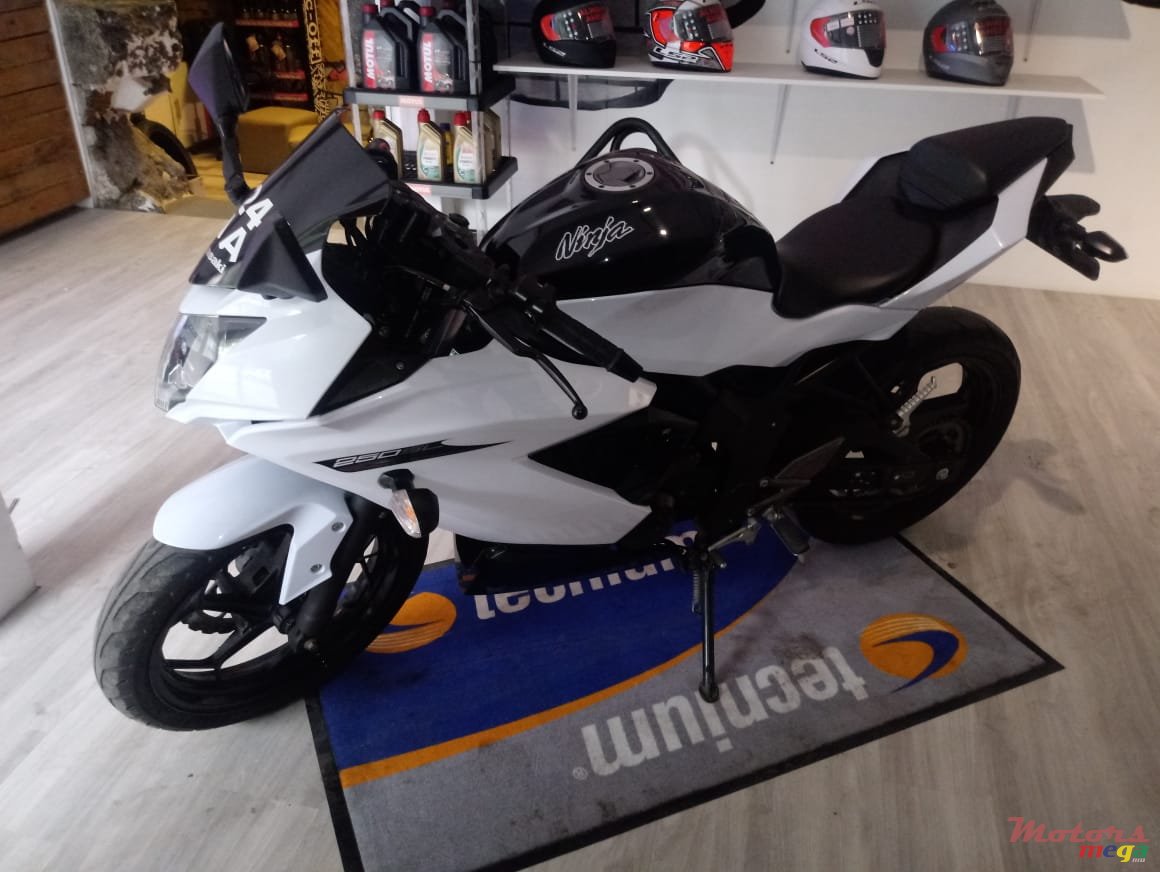 2013' Kawasaki photo #4