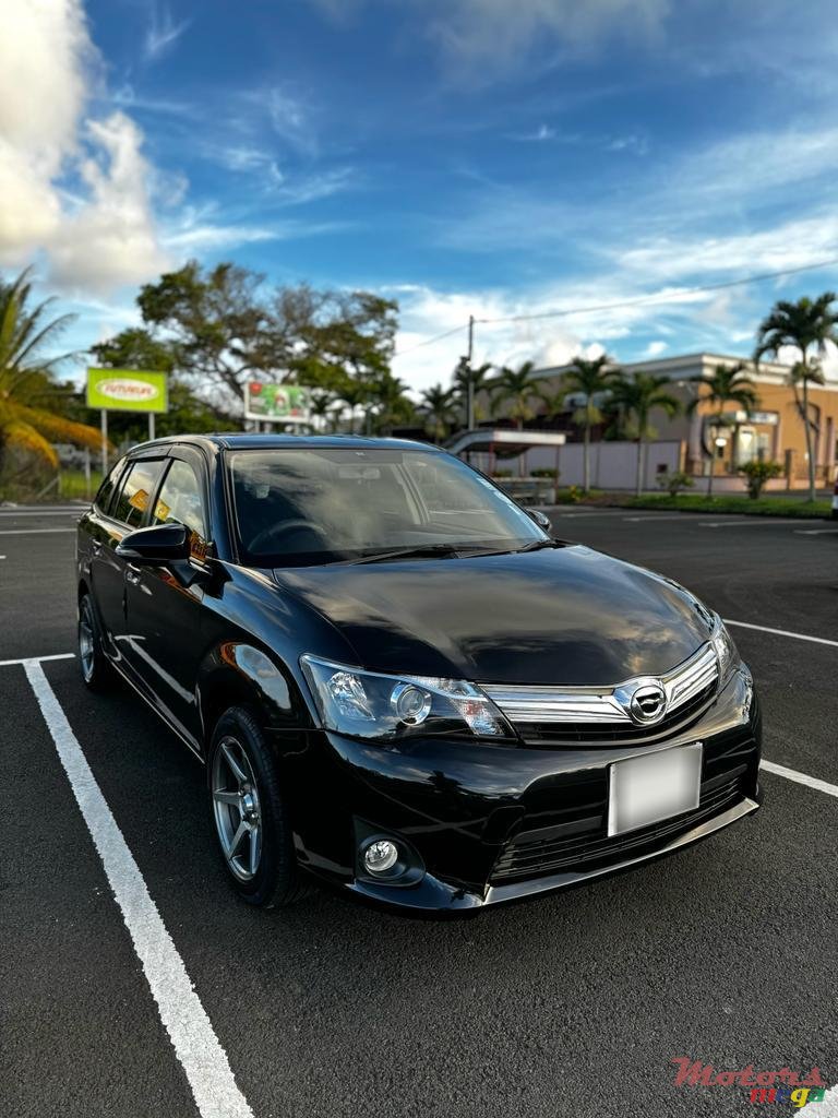 2013' Toyota Fielder photo #1