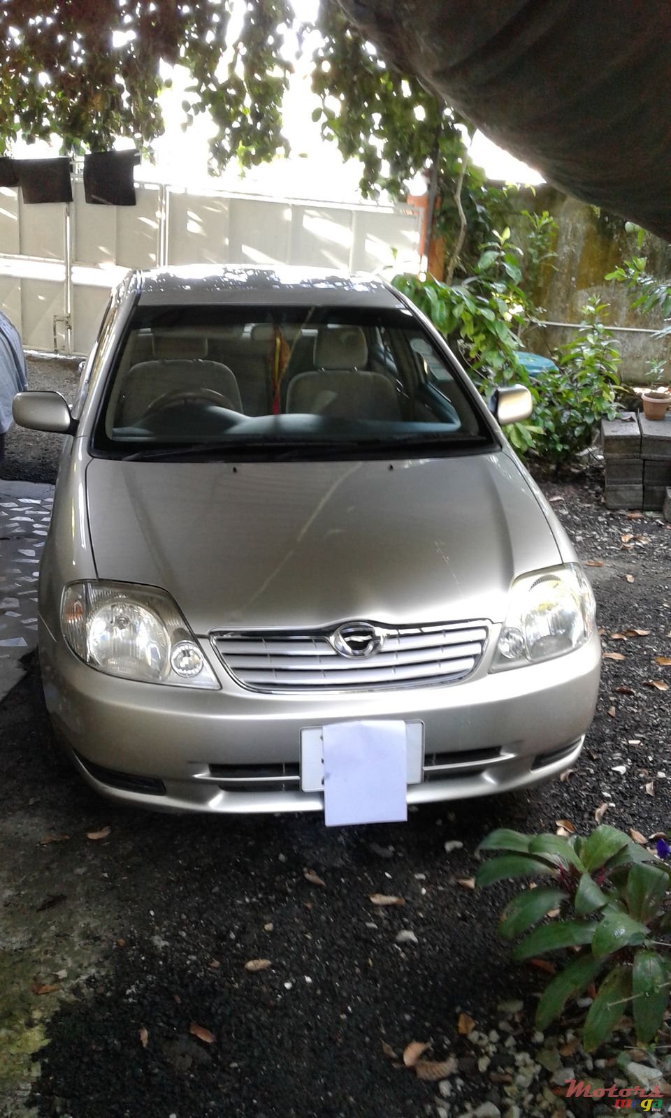 2001' Toyota Corolla photo #1