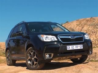 Subaru Forester vs. the South African Bush