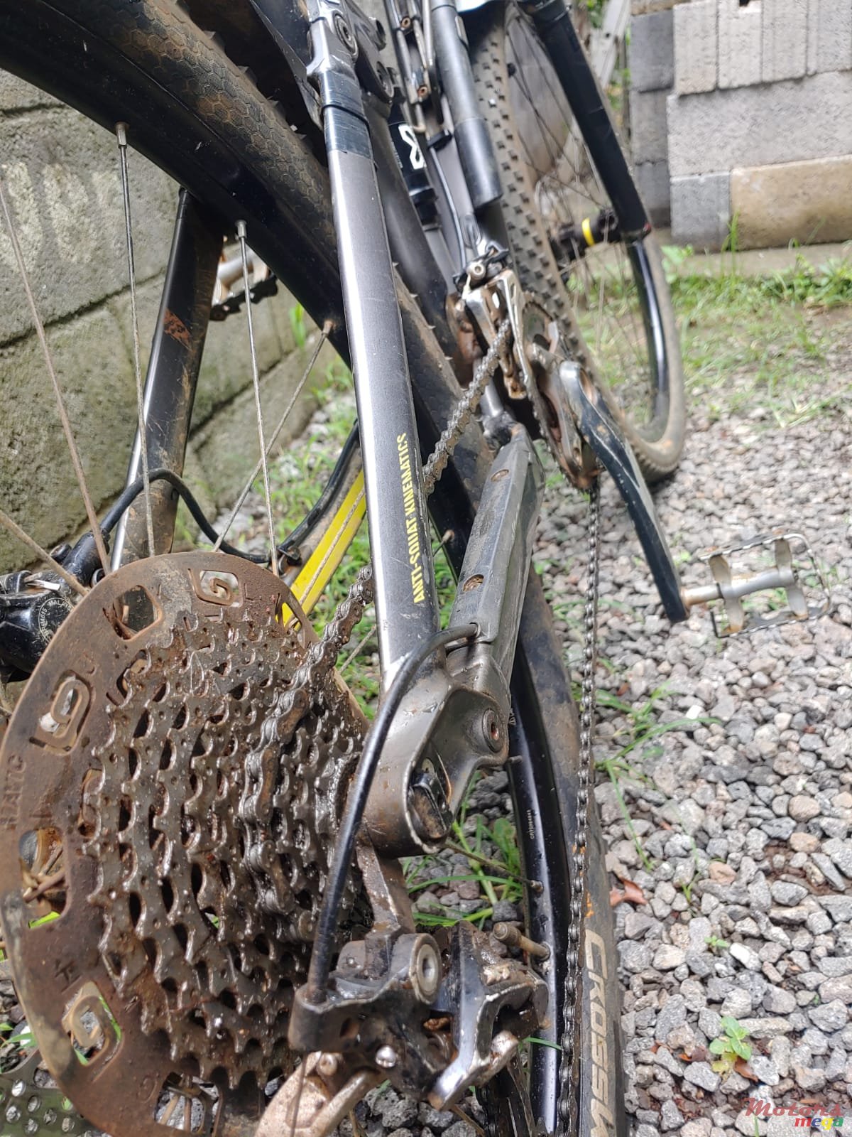 2017' Cannondale photo #1