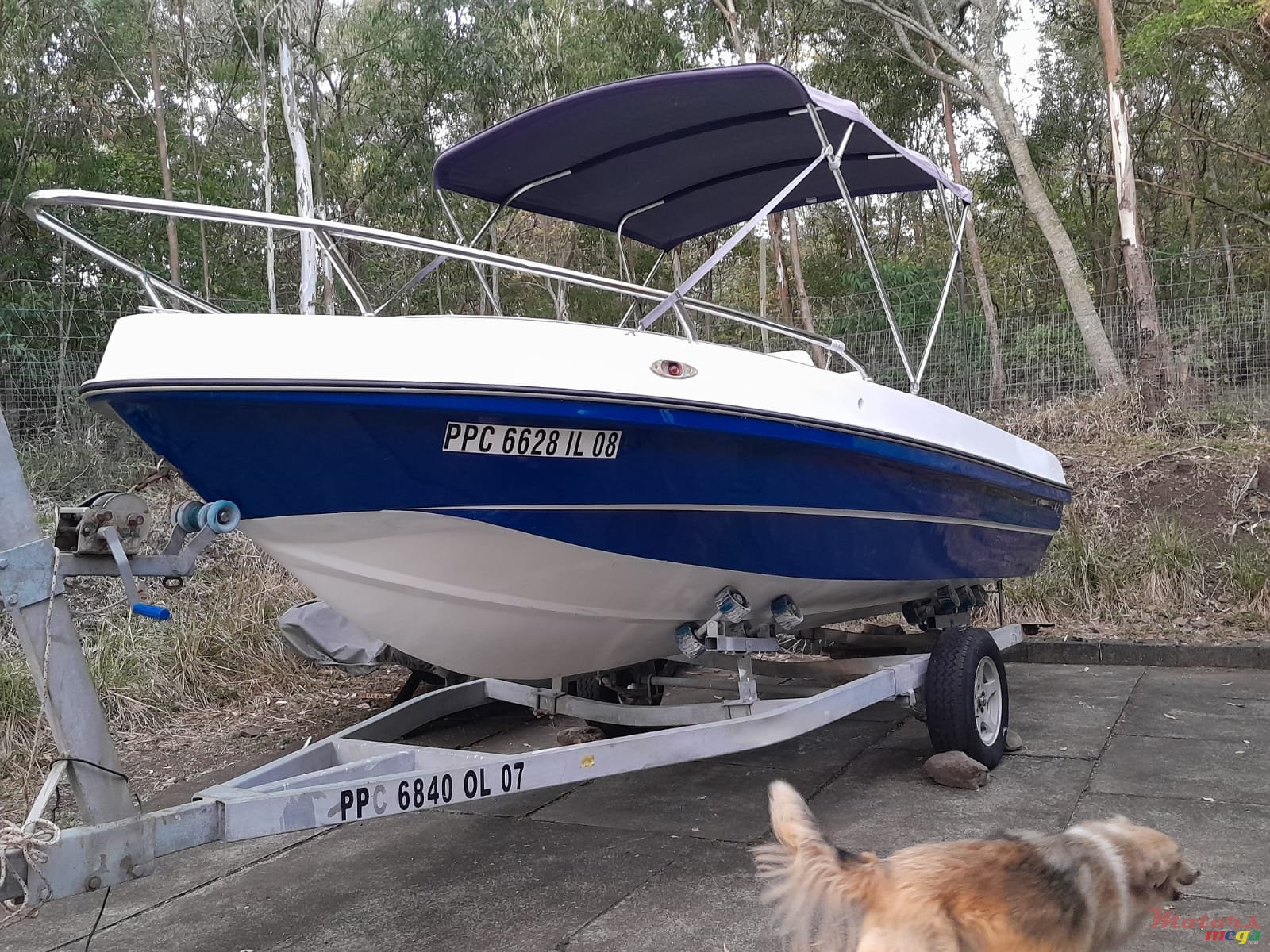 2008' Tremlett photo #3