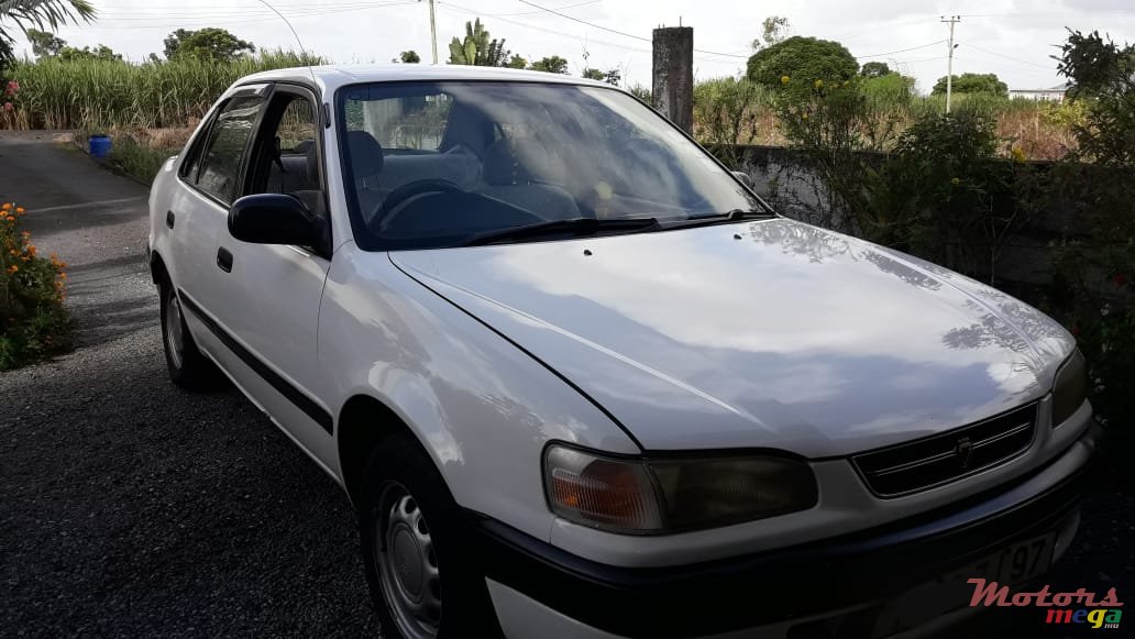 1997' Toyota Corolla photo #2
