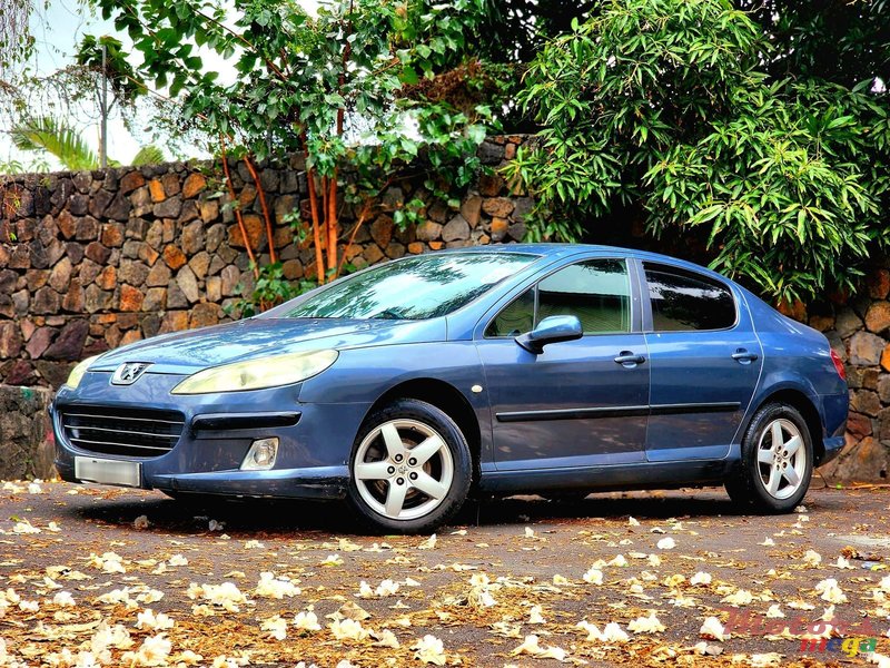 2008' Peugeot 407 photo #2