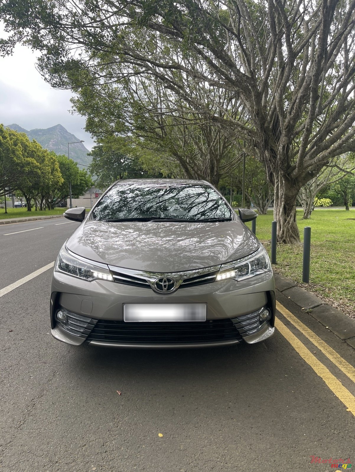 2019' Toyota Corolla photo #1