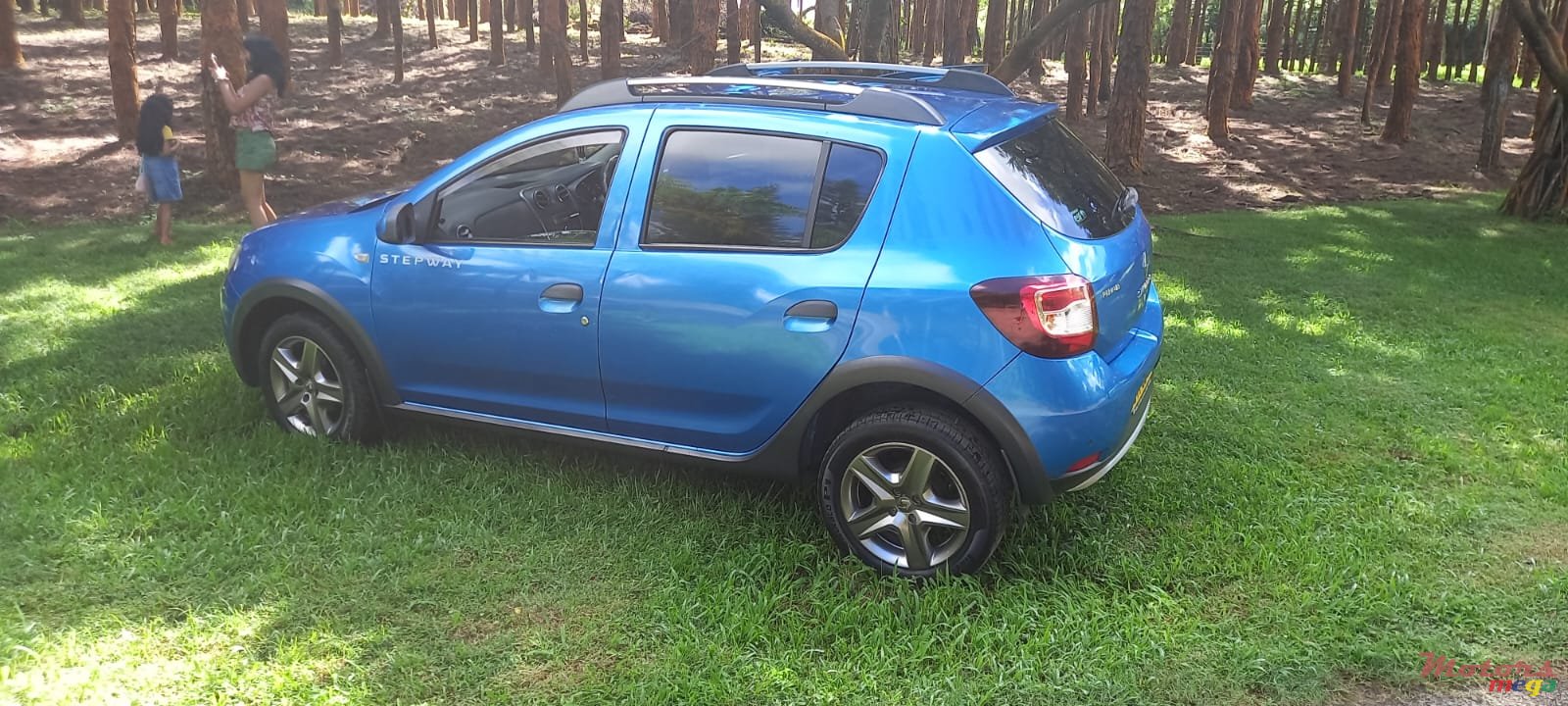 2014' Renault Sandero photo #3