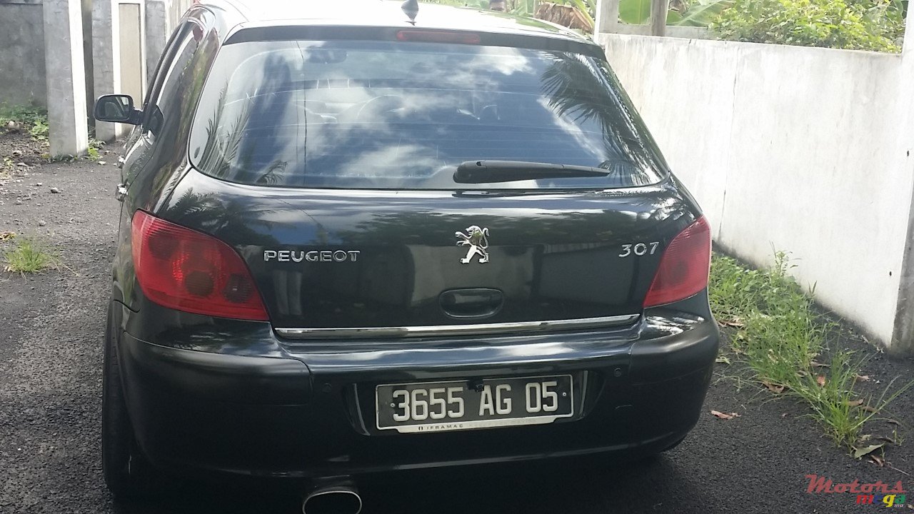 2005' Peugeot 307 photo #4