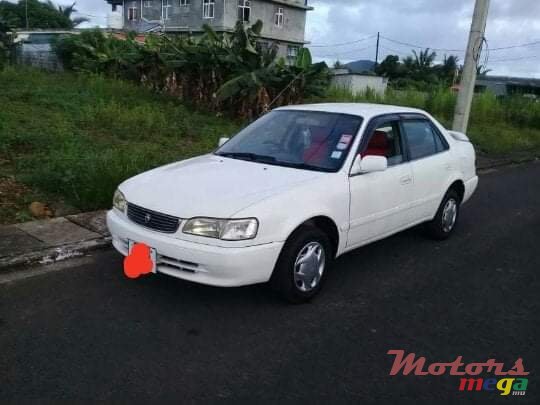 1998' Toyota Corolla photo #7