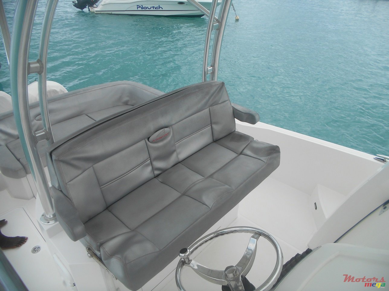 2011' Evinrude photo #7