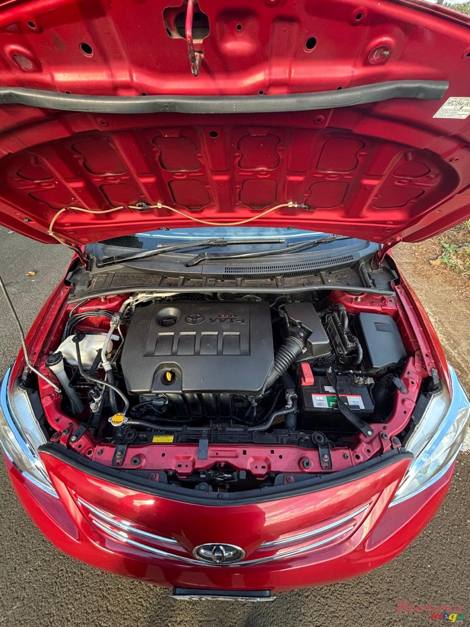 2012' Toyota Corolla photo #2