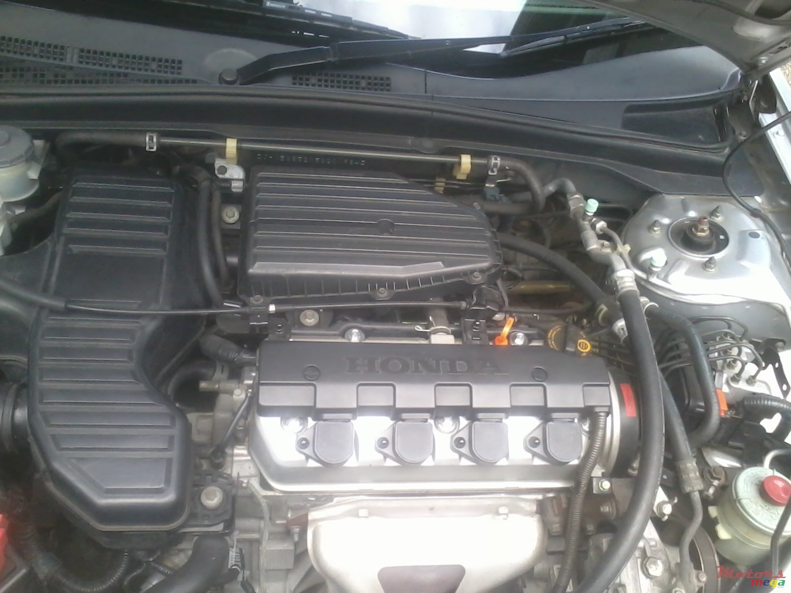 2005' Honda original photo #4