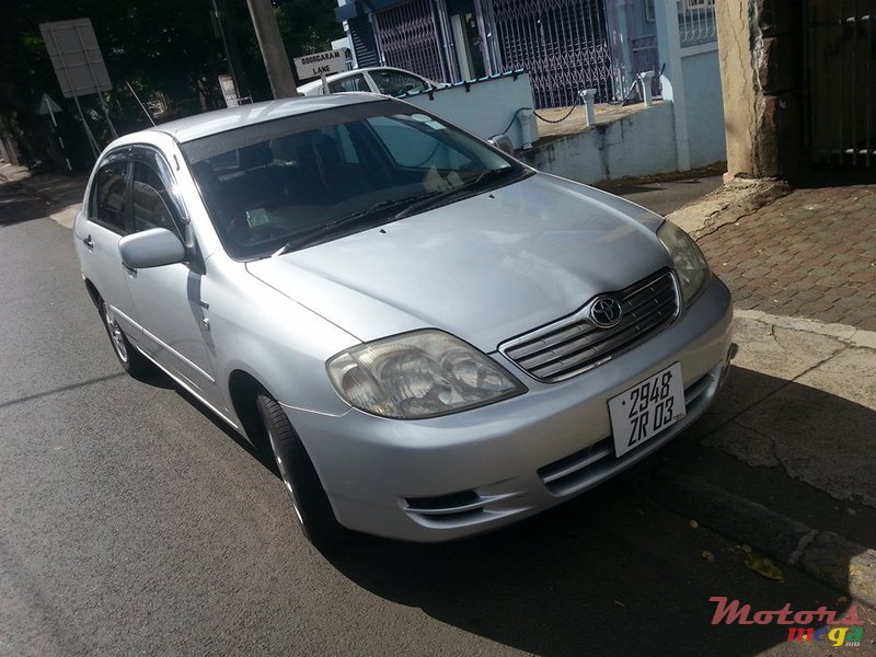 2003' Toyota Corolla NZE photo #1