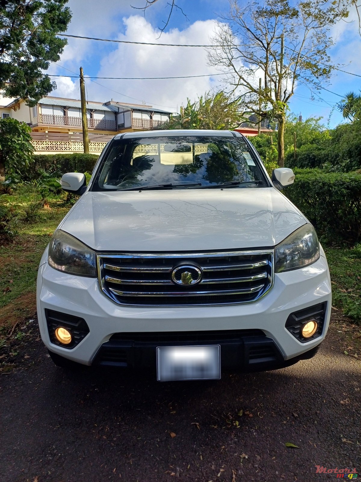 2019' GWM Steed photo #1