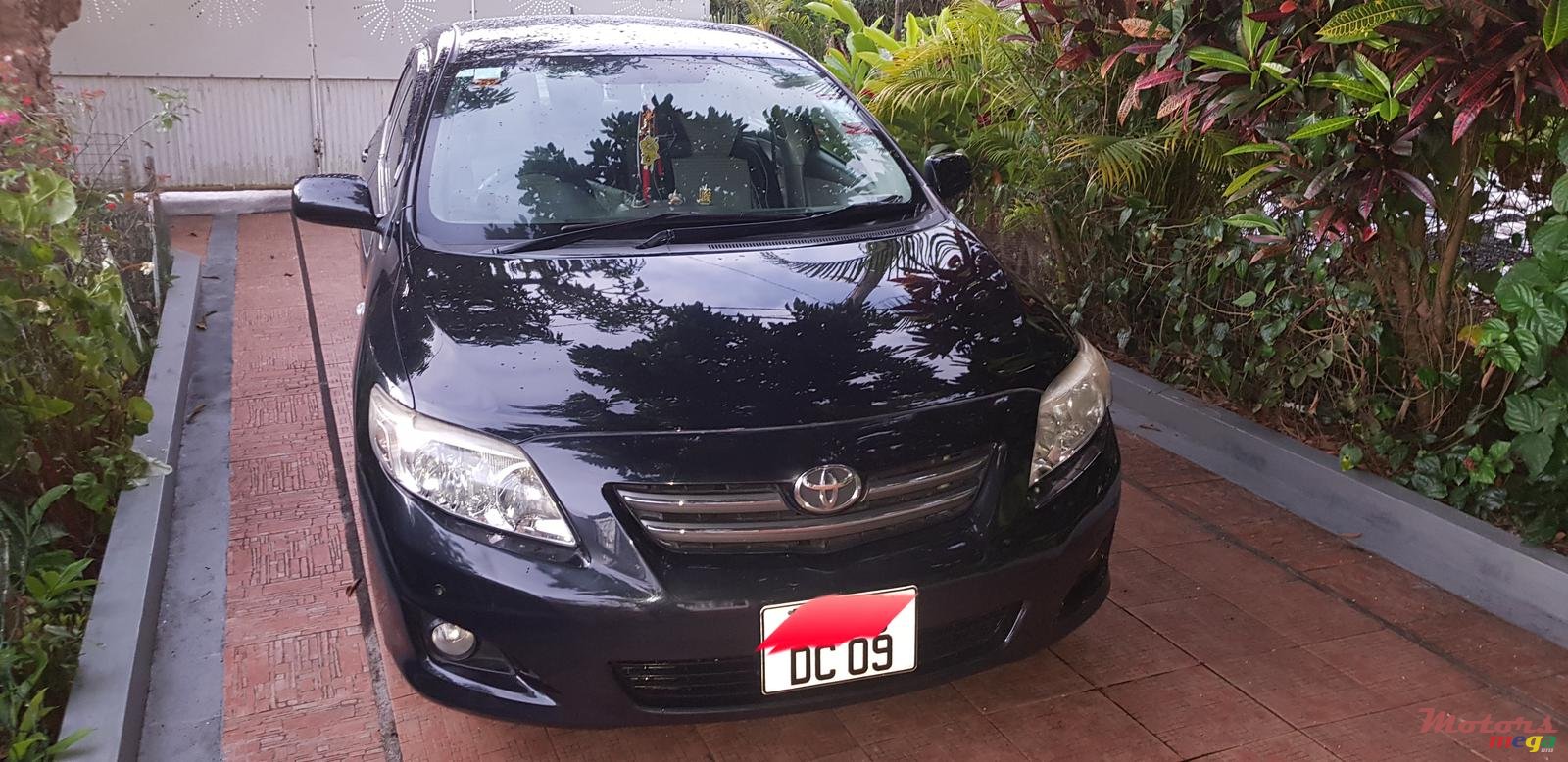 2009' Toyota Corolla photo #1