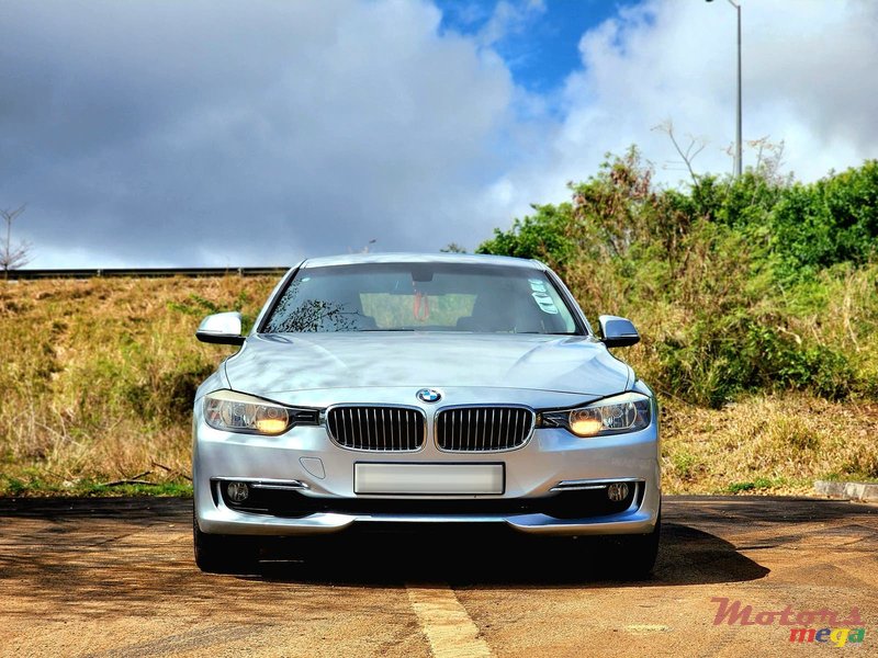 2014' BMW 316 photo #1