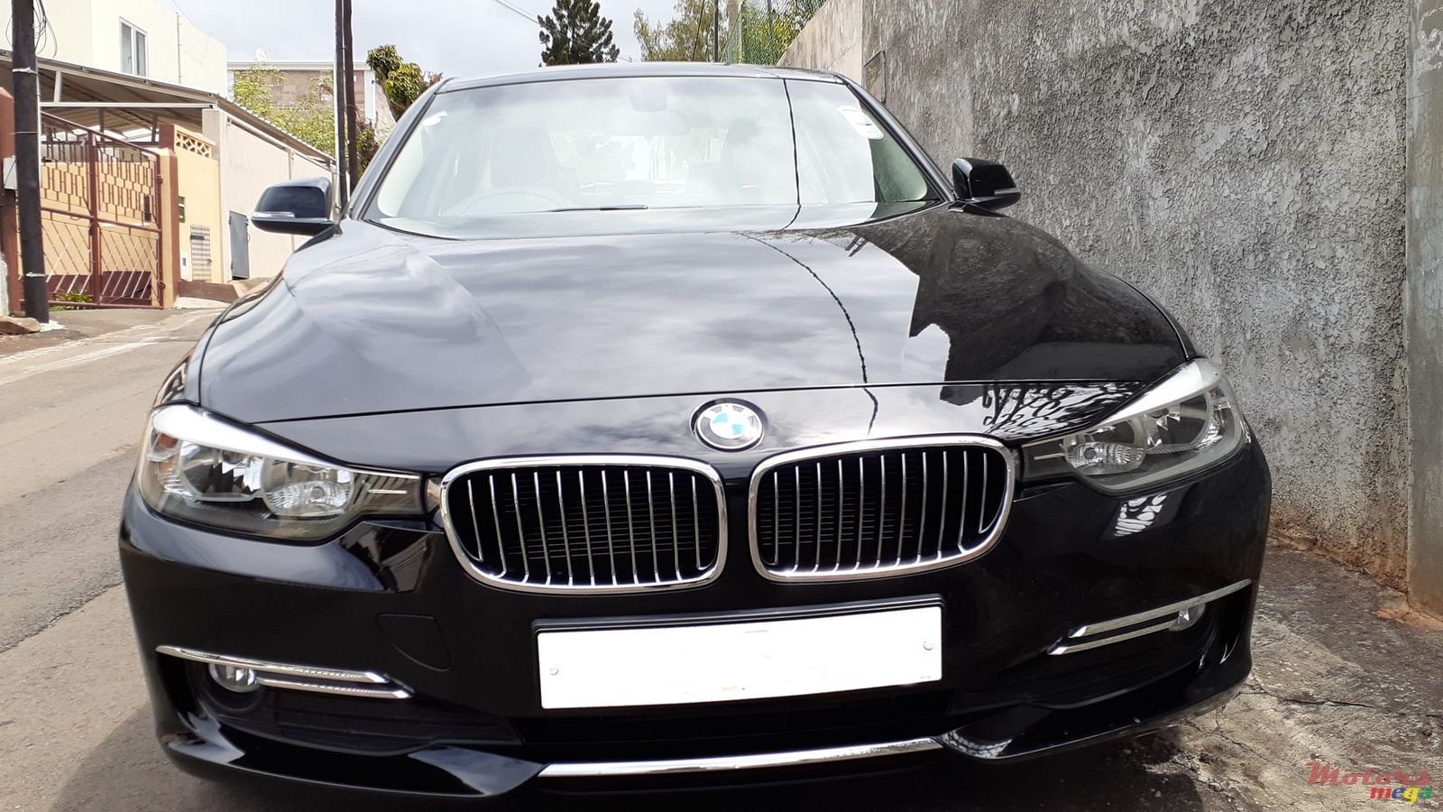 2013' BMW 316 photo #2