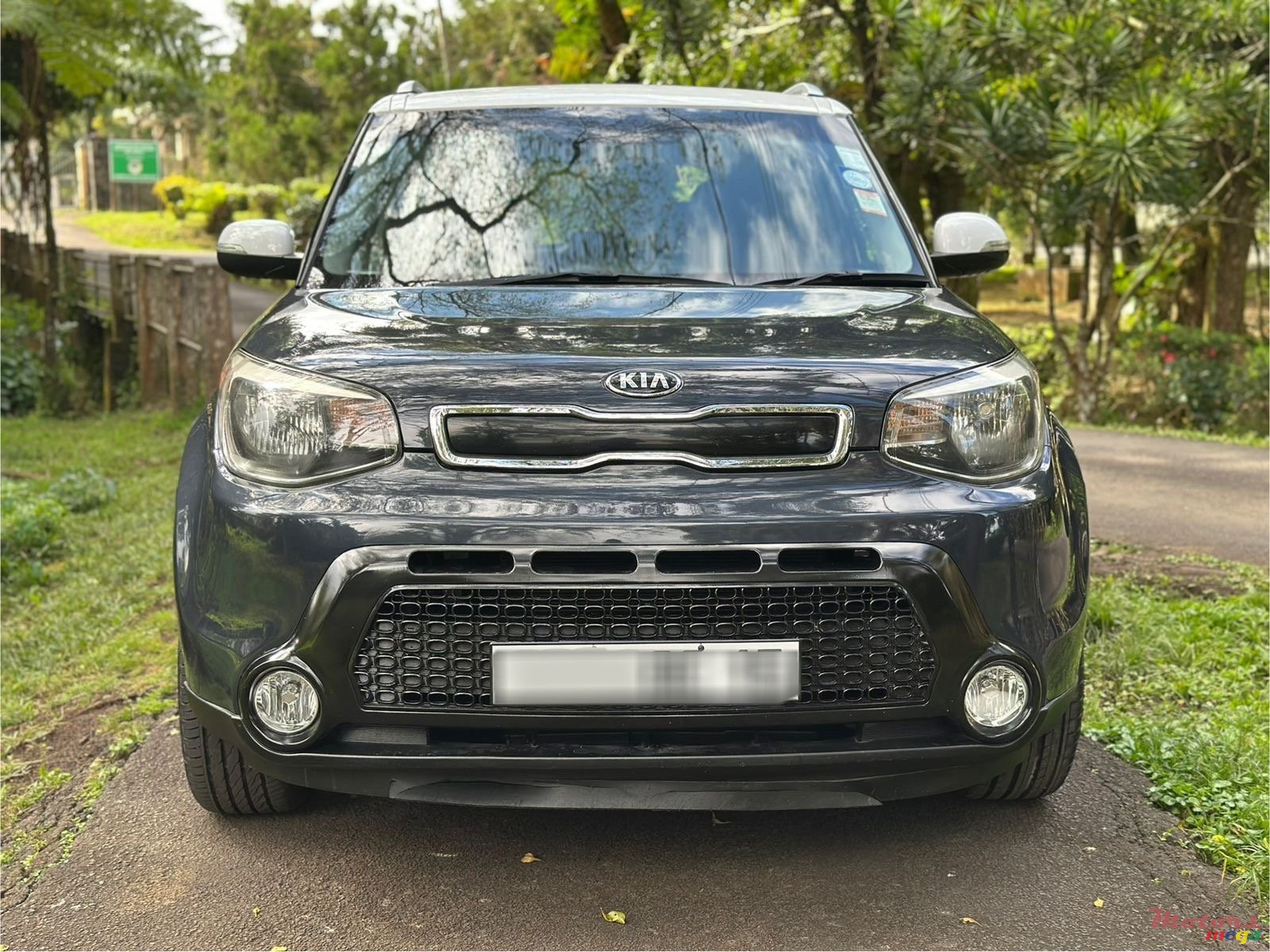 2015' Kia Soul photo #1