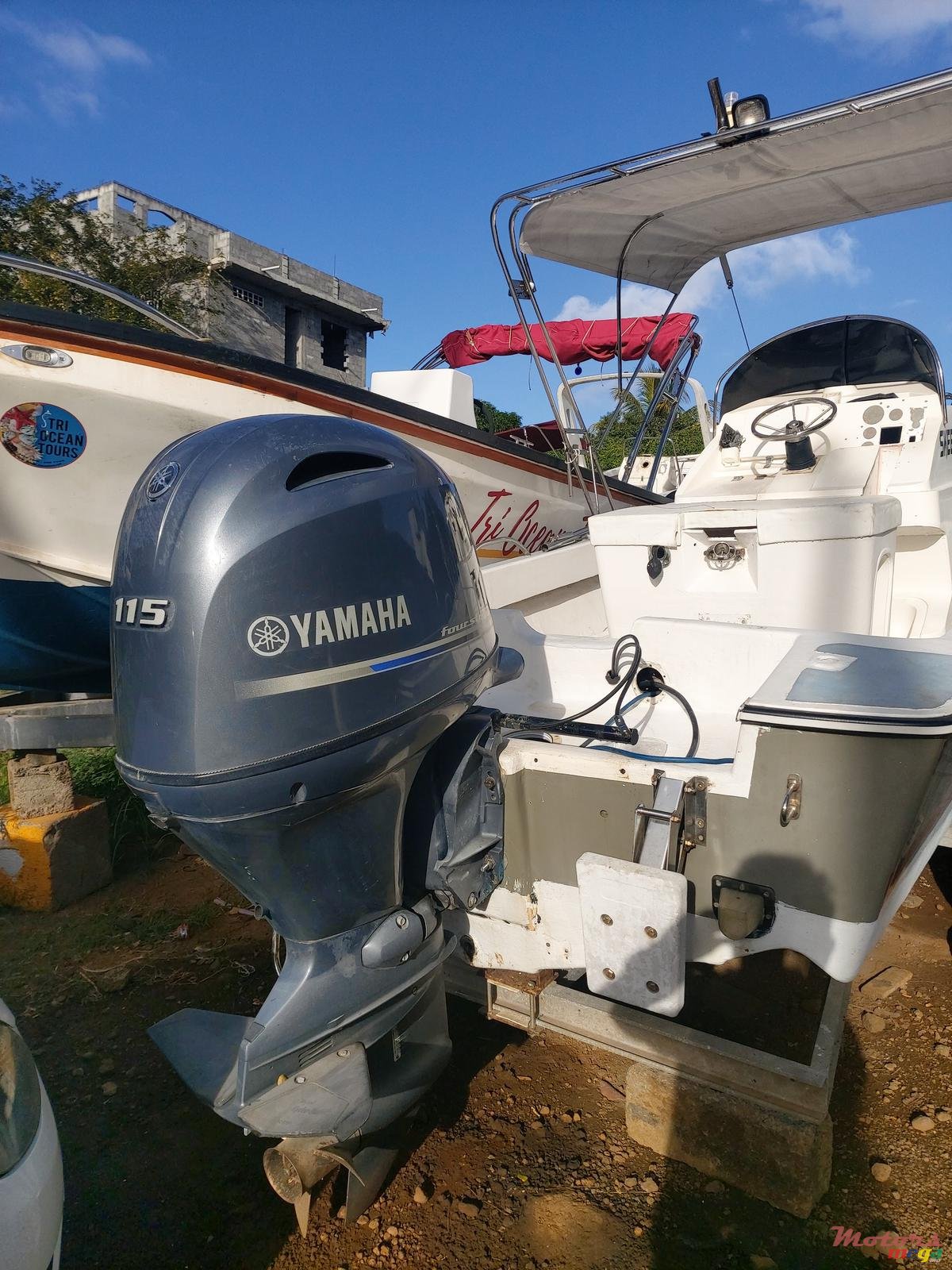 2012' Tremlett photo #2