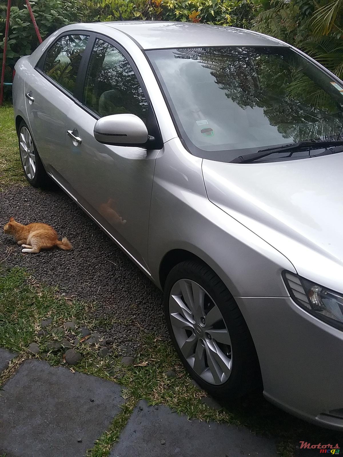 2011' Kia Cerato photo #7