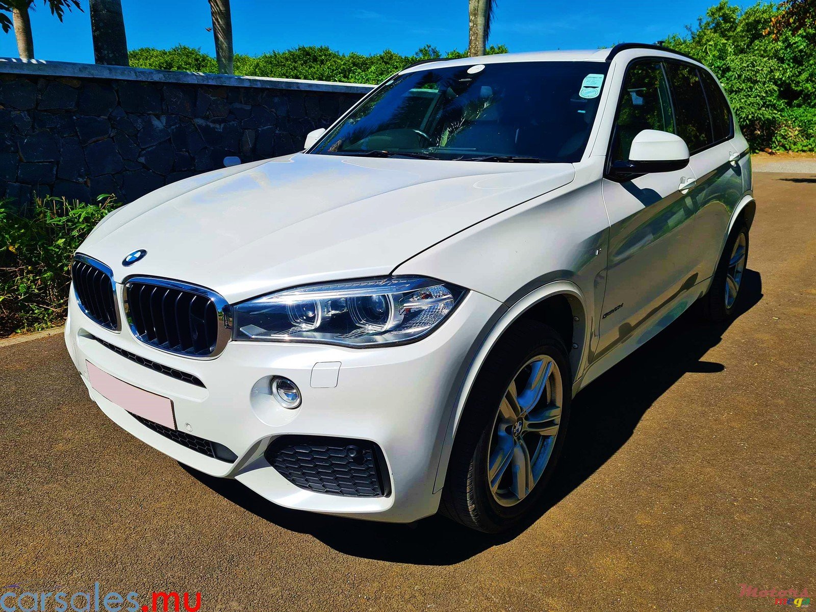 2016' BMW X5 SDrive 25d photo #1