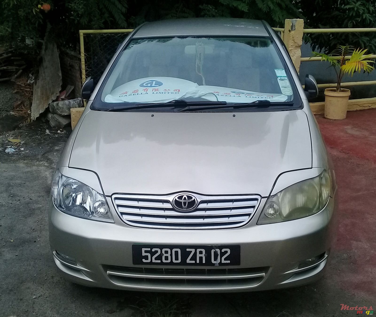 2002' Toyota Corolla NZE photo #5