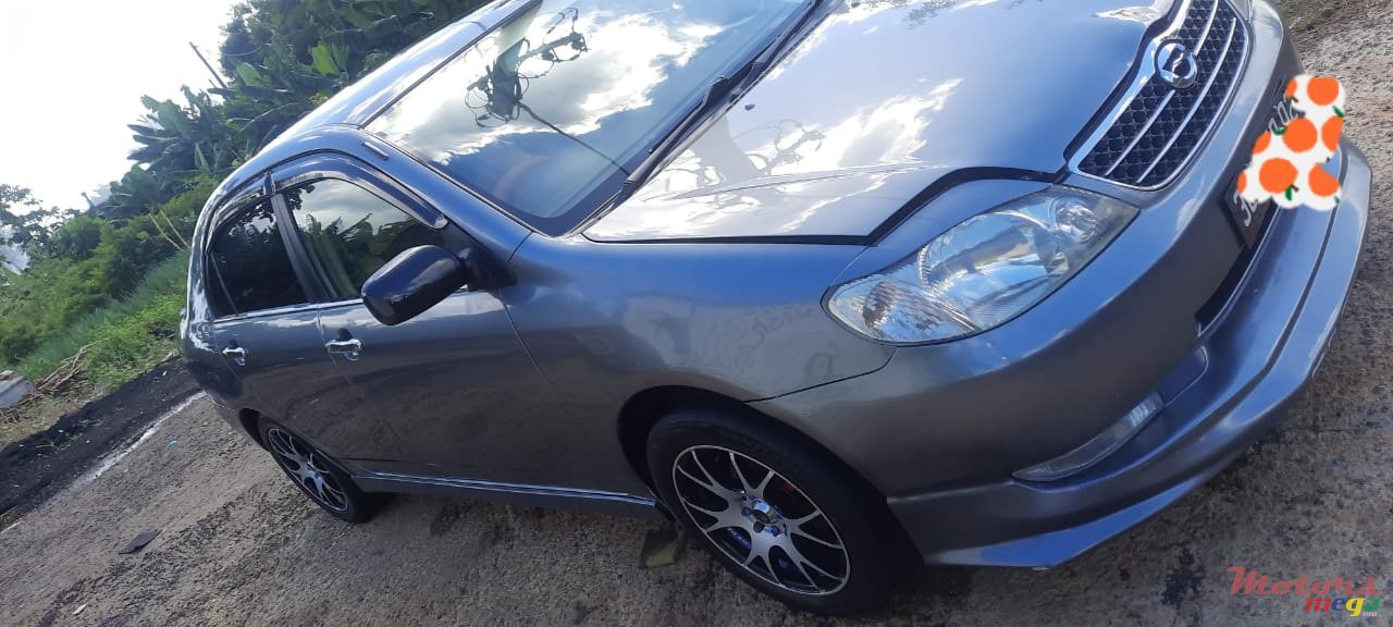 2002' Toyota Corolla Nze121 photo #2