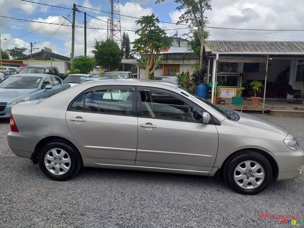 2002' Toyota Corolla NZE photo #2