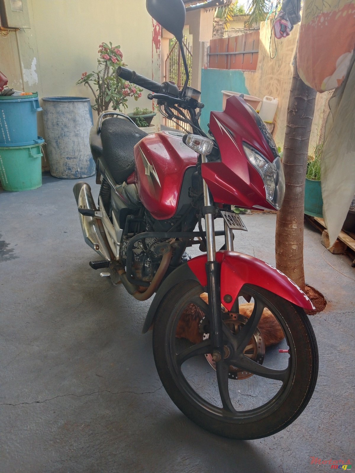 2014' Suzuki photo #3