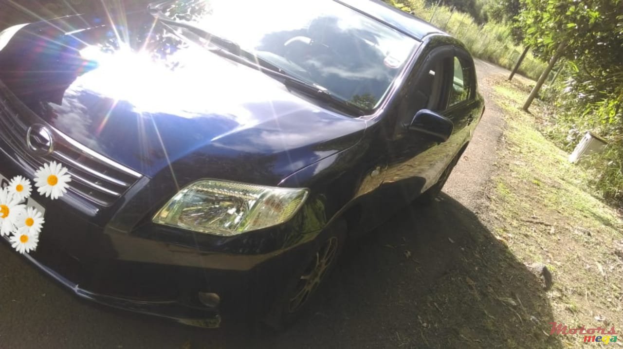 2009' Toyota Axio photo #2