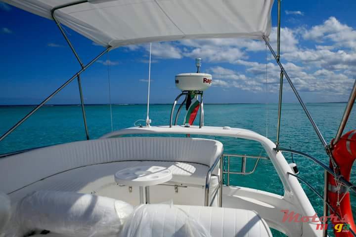 2009' Leopard photo #4