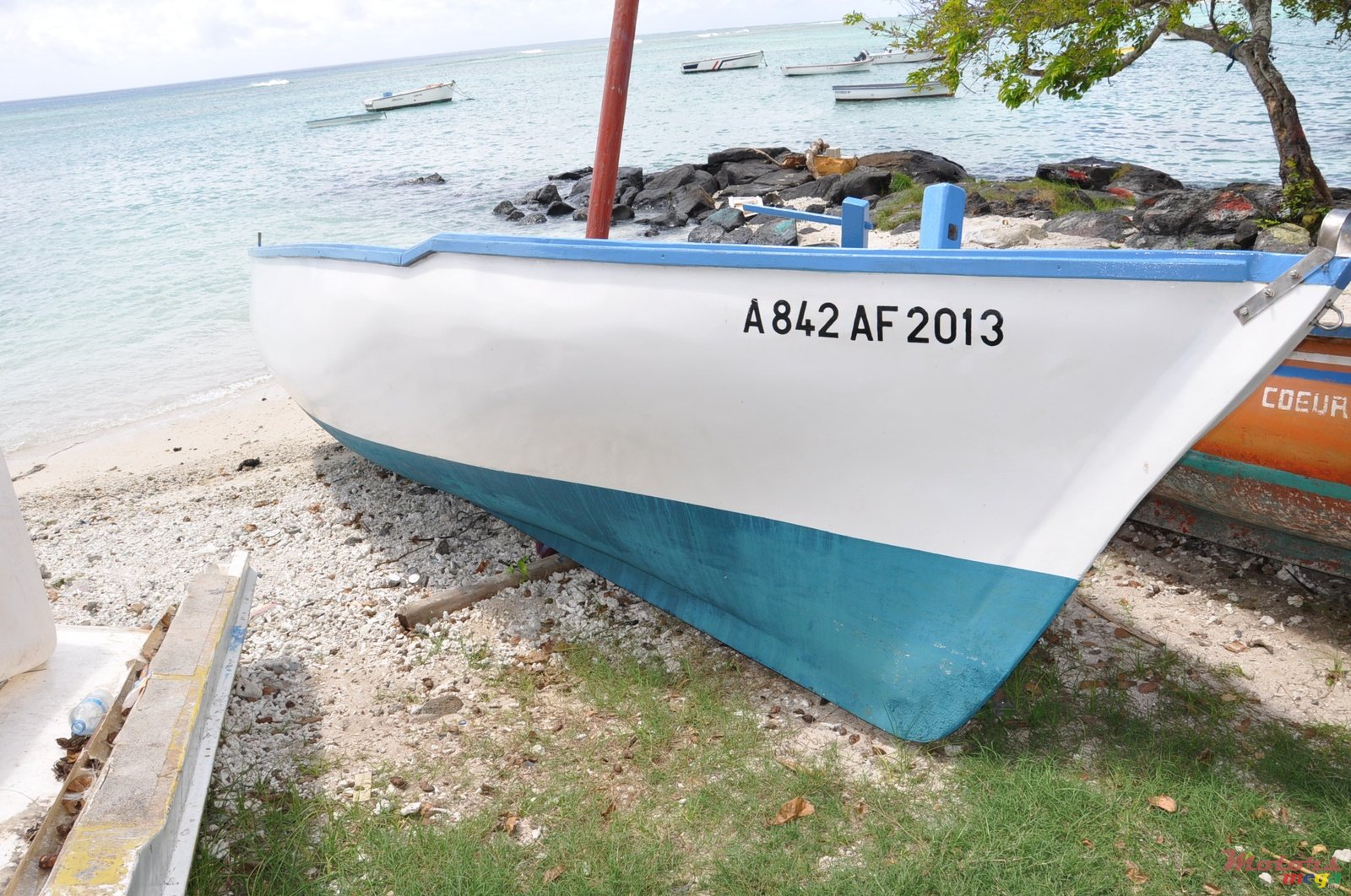 2004' Aqua Marine photo #1