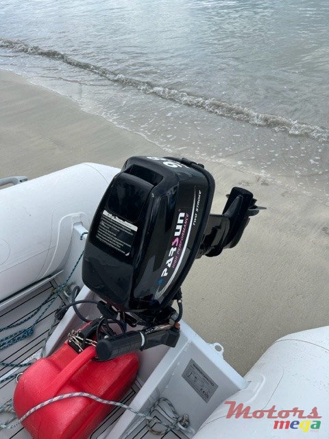 2021' Parsun 9.8 Cv photo #4