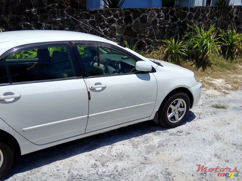 2002' Toyota Corolla photo #2