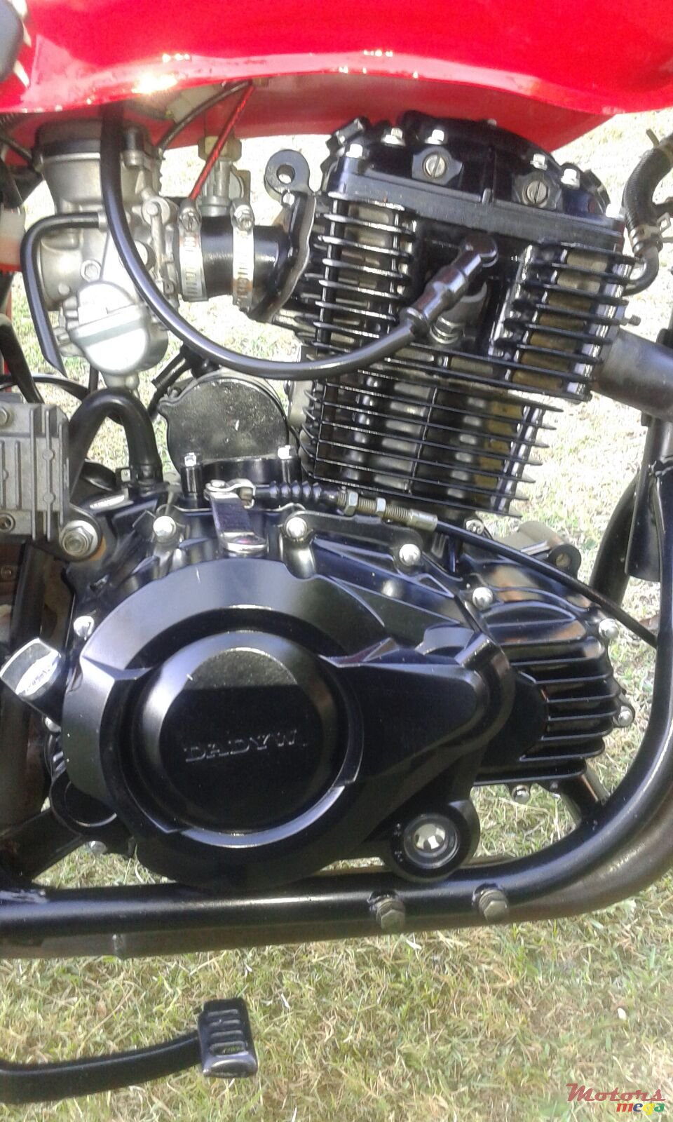 2014' Regal-Raptor photo #3